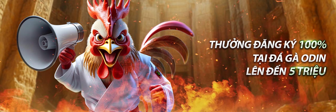 Người cân bằng giữa cuộc sống và giải trí cờ bạc